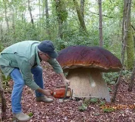 Appartamento U Magdy Dla 3 Osob Z Parkingiem Za Ogrodzeniem W Cenie Borne Sulinowo